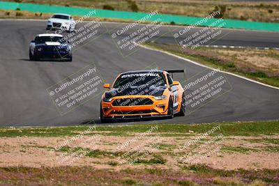 media/Feb-25-2024-Speed Ventures (Sun) [[b9a2a97a4d]]/Mustang Drivers Club/Session 3 (Turn 2)/